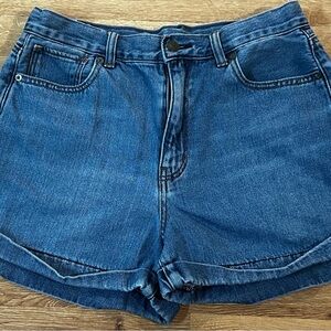 American Eagle Outfitters Mom Shorts